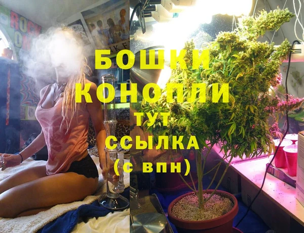 spice Алзамай