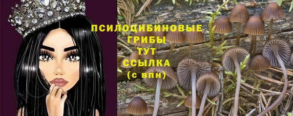 герыч Алексеевка