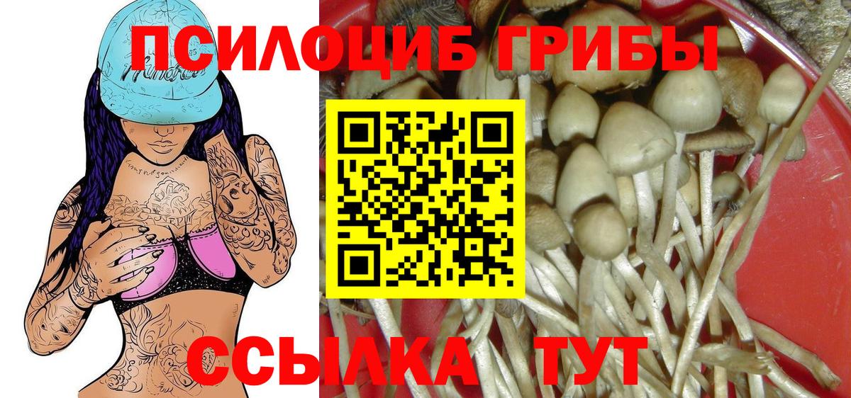 Карабулак  Галлюциногенные грибы мицелий  Вход с VPN 